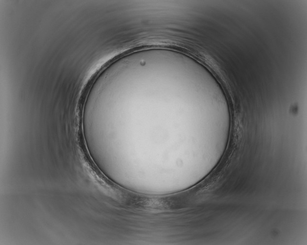 X0000116680787200912291718