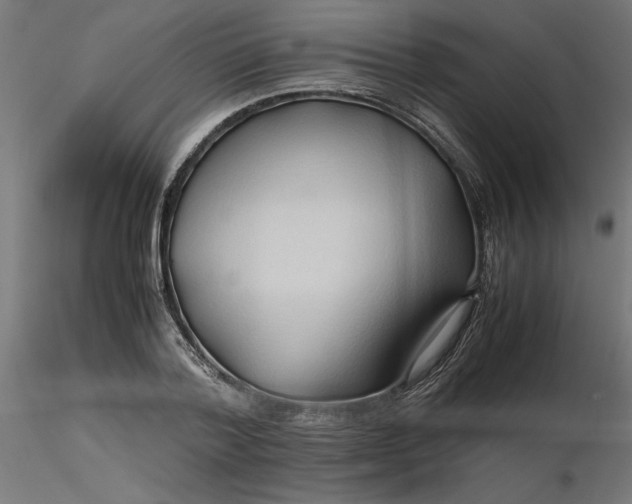 X0000116680788200912291718