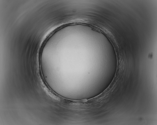 X0000116680792200912291718