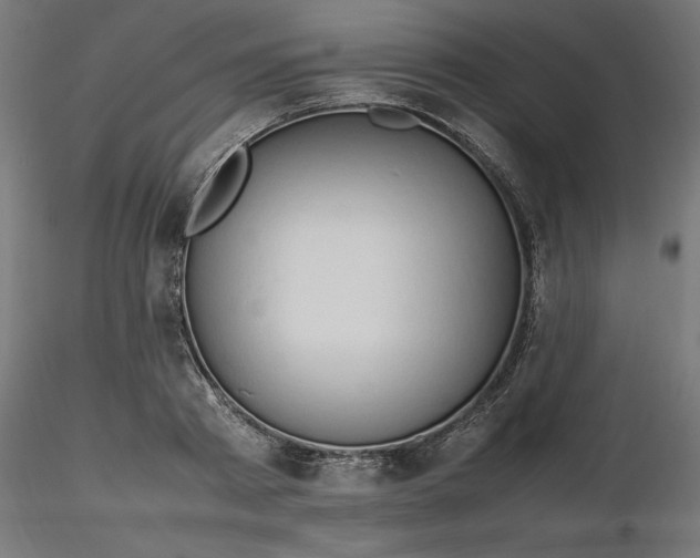 X0000116680793200912291718