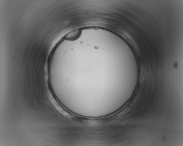 X0000116680796200912291718