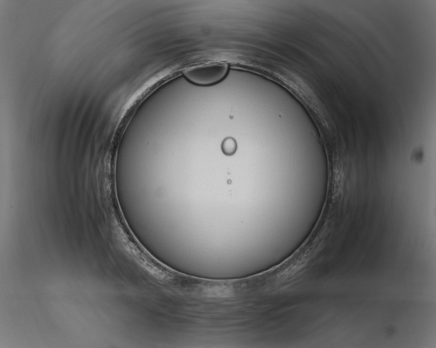 X0000116680798200912291718