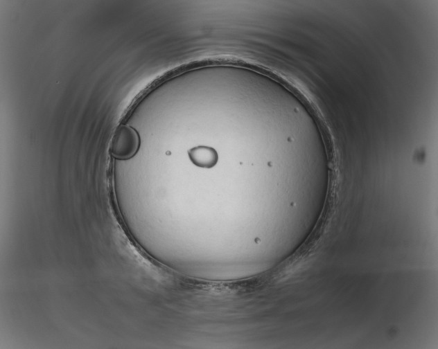 X0000116680799200912291718