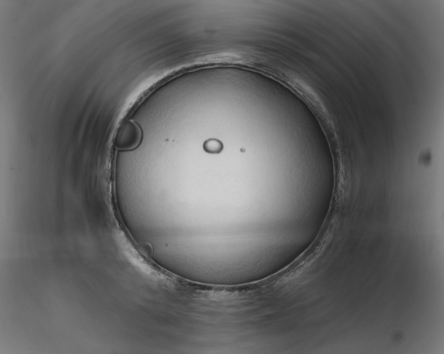 X0000116680800200912291718