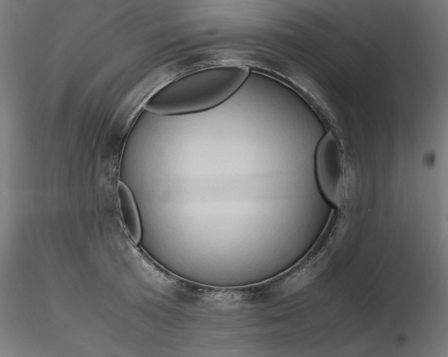 X0000116680801200912291718