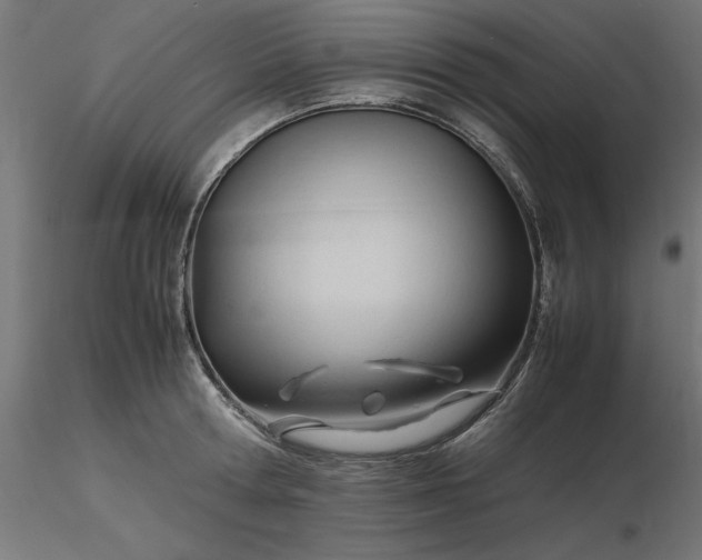 X0000116680802200912291718