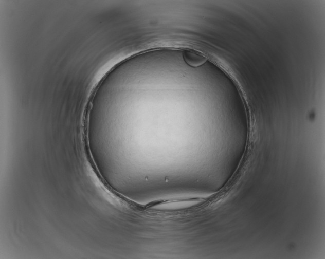 X0000116680803200912291718