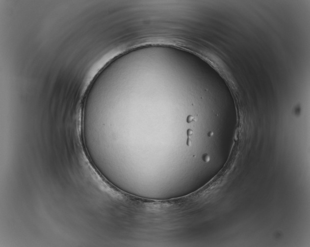 X0000116680804200912291718