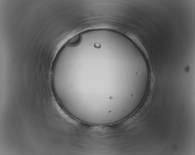 X0000116680805200912291718