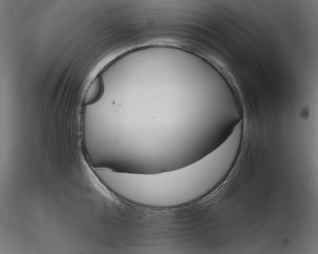 X0000116680808200912291718