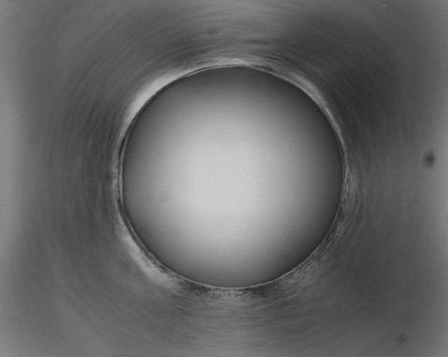 X0000116680811200912291718