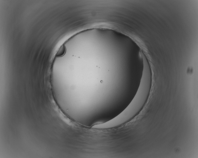 X0000116680816200912291718