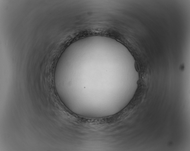 X0000116680817200912291717