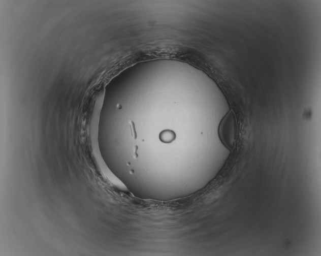 X0000116680818200912291717