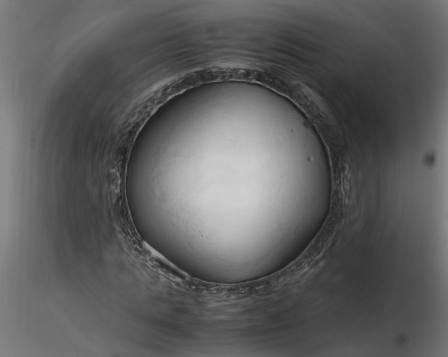 X0000116680821200912291717