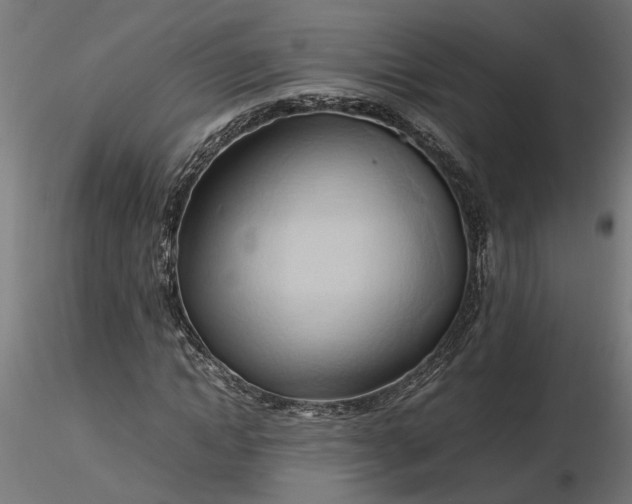 X0000116680822200912291717