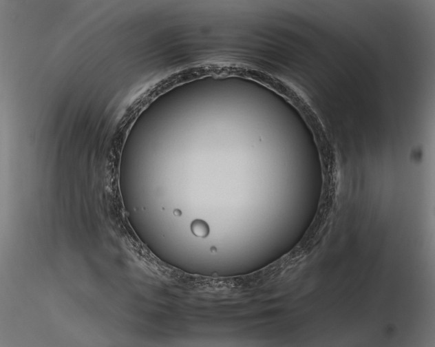 X0000116680823200912291717