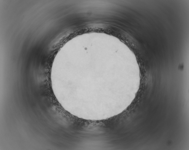 X0000116680824200912291717