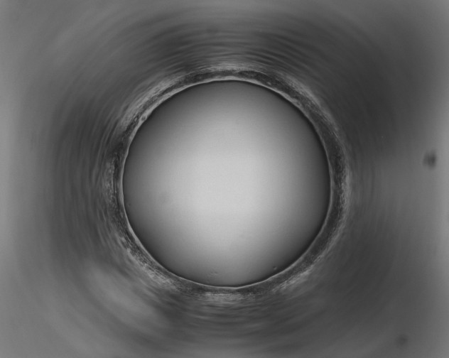 X0000116680825200912291717