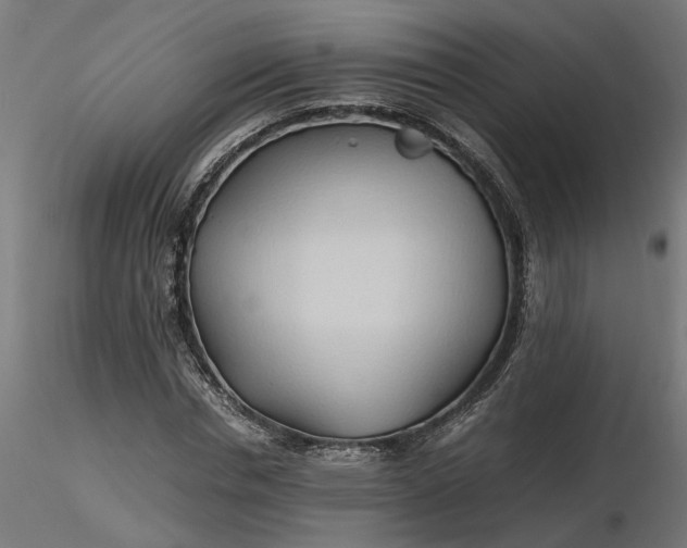 X0000116680826200912291717