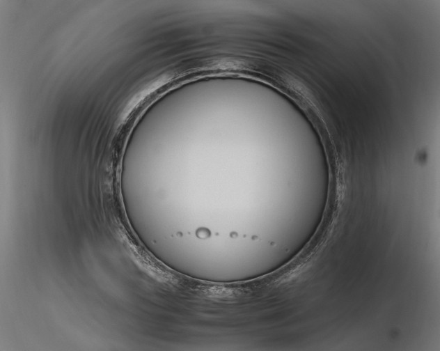 X0000116680827200912291717