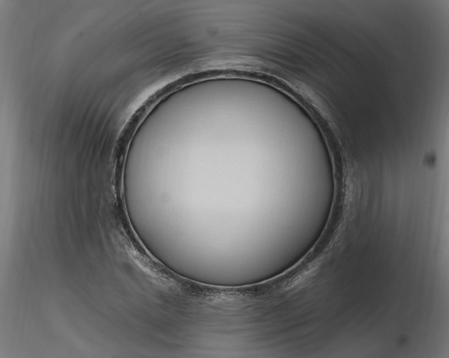 X0000116680830200912291717