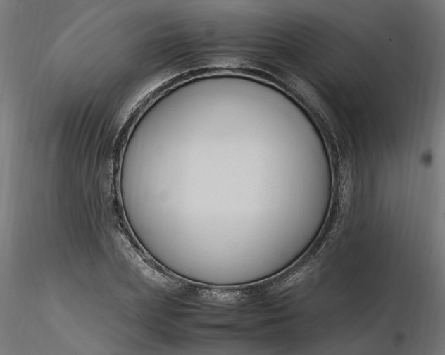 X0000116680831200912291717