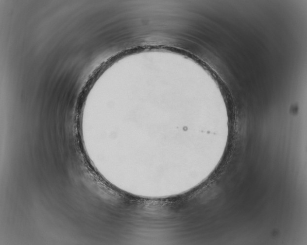 X0000116680832200912291717