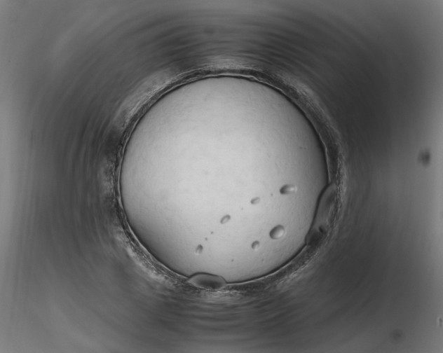 X0000116680833200912291717