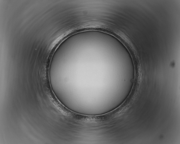 X0000116680834200912291717