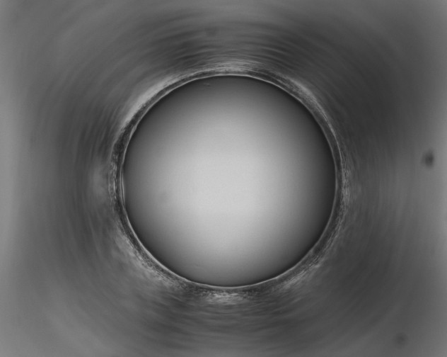 X0000116680835200912291717