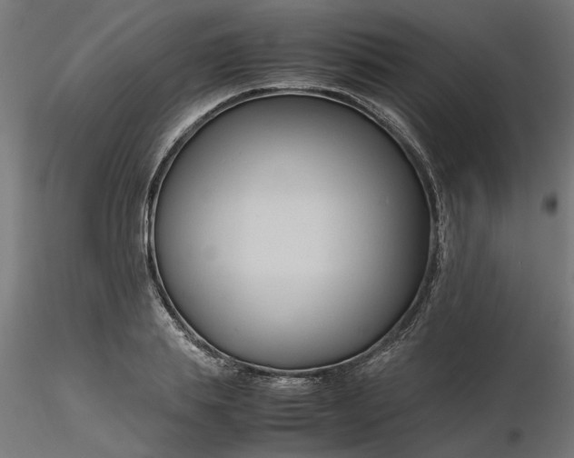 X0000116680839200912291718