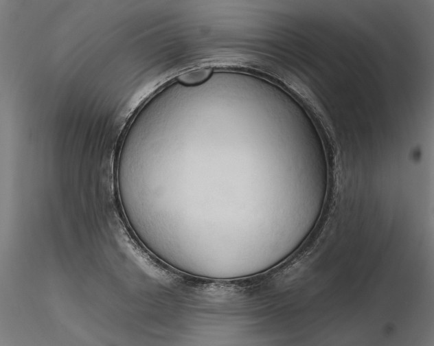 X0000116680842200912291718