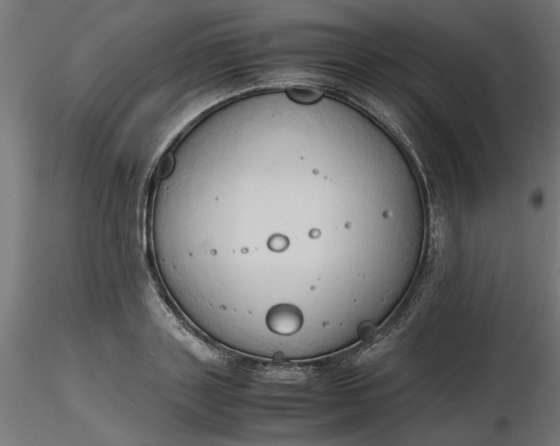 X0000116680843200912291718