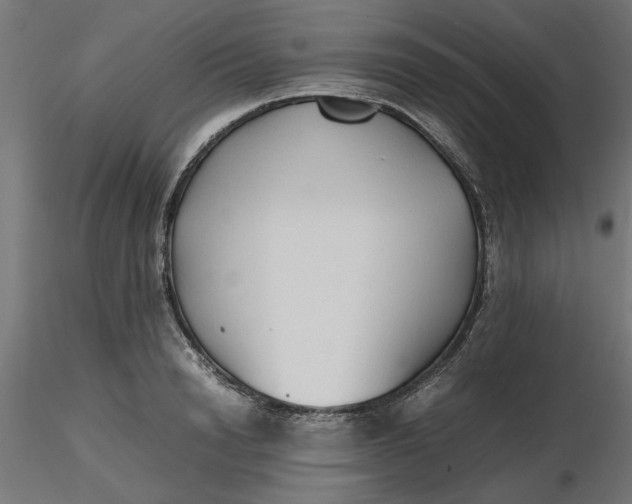 X0000116680846200912291718