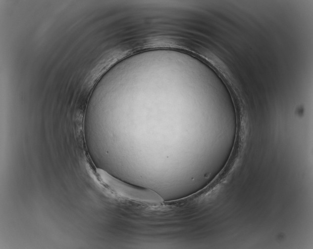 X0000116680849200912291718