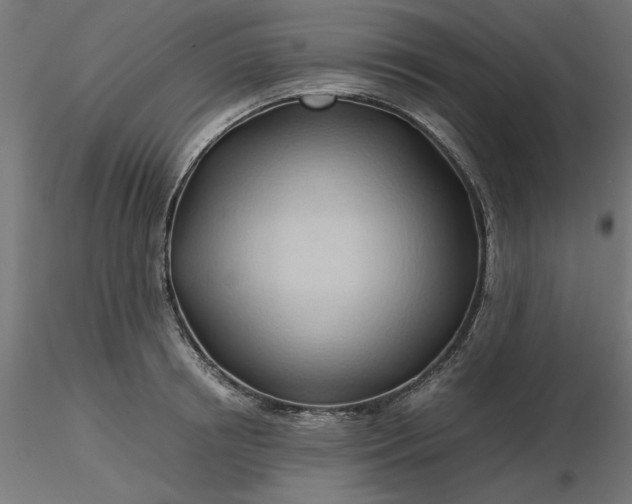 X0000116680850200912291718