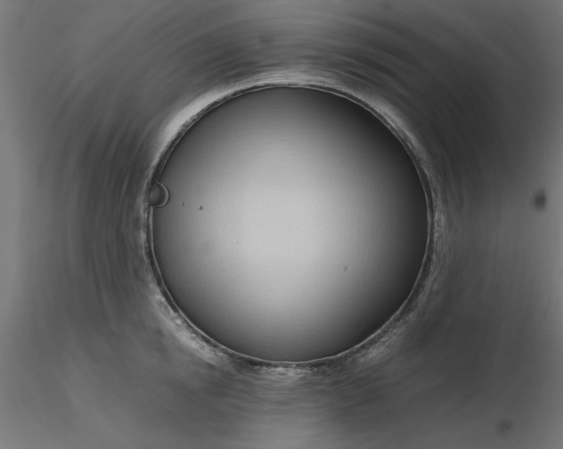 X0000116680854200912291718