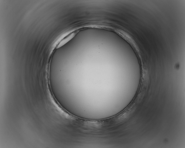 X0000116680855200912291718