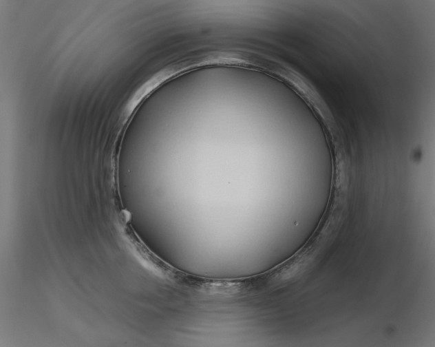 X0000116680858200912291718