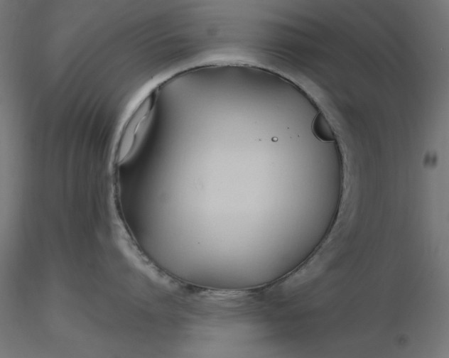 X0000116680864200912291718