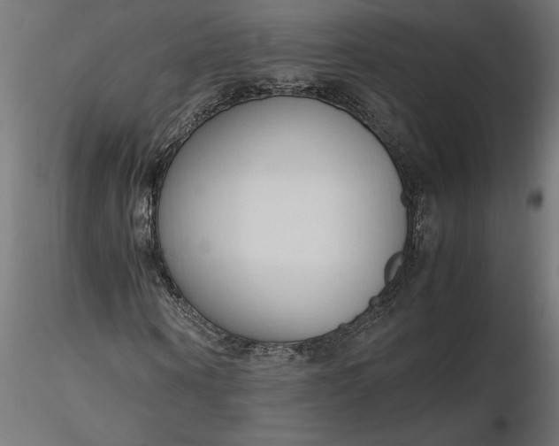 X0000116680866200912291717