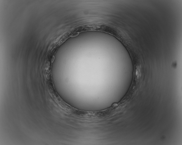 X0000116680867200912291717