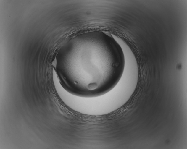 X0000116680868200912291717