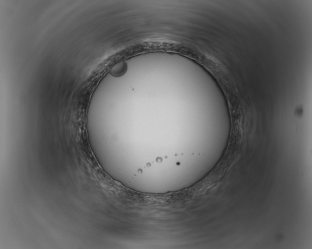 X0000116680870200912291717