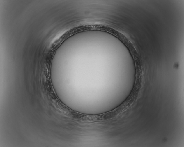 X0000116680871200912291717