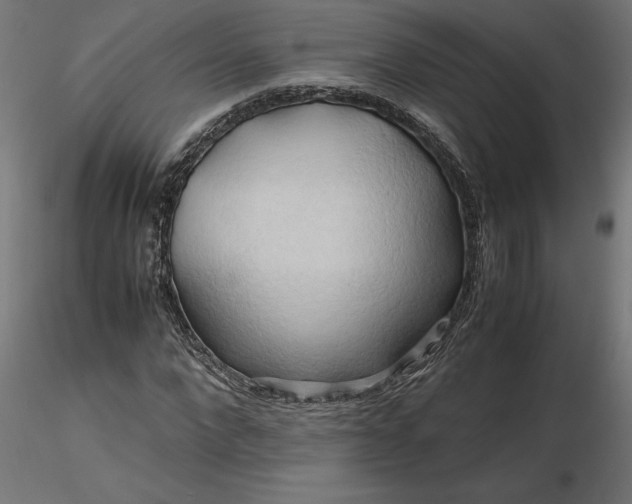 X0000116680872200912291717