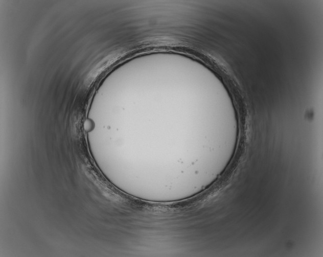 X0000116680873200912291717