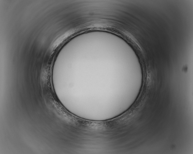 X0000116680874200912291717