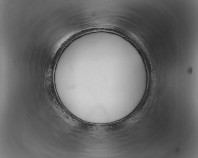 X0000116680875200912291717